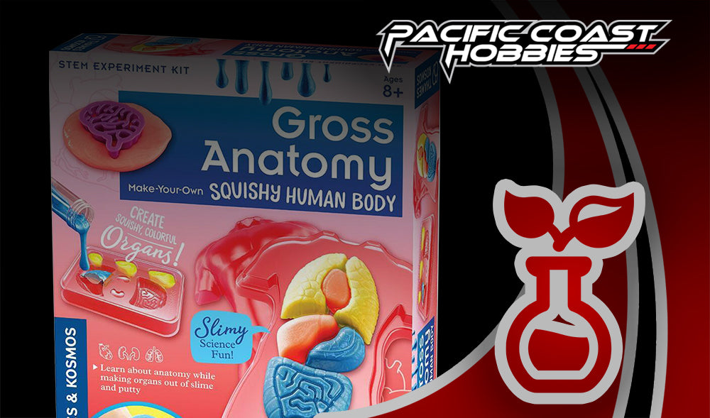 Educational Toys